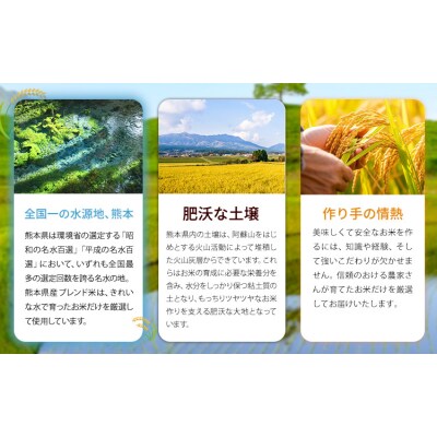 【隔月6回定期便】ひごみのり 無洗米 熊本県産 ブレンド米 10kg 《お申込み翌月から出荷》