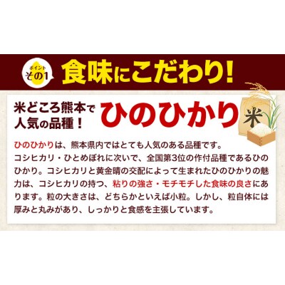 令和7年産 無洗米 【隔月6回定期便】 ひのひかり 20kg《お申込み翌月から出荷》