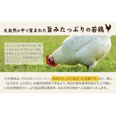 鶏肉 熊本県産 若鶏むね肉  2kg 《30日以内に出荷予定(土日祝除く)》