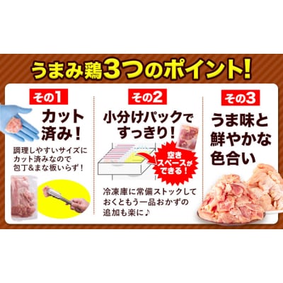 うまかチキン もも+むねハーフセット 合計1.55kg 《7-14日以内に出荷予定(土日祝除く)》