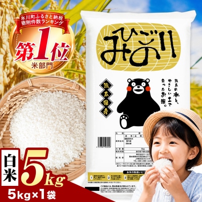 ひごみのり 白米 熊本県産 ブレンド米 5kg《7-14日以内に出荷予定(土日祝除く)》