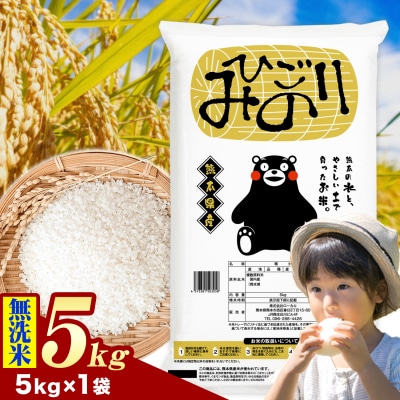ひごみのり 無洗米 熊本県産 ブレンド米 5kg《1-5日以内に出荷予定(土日祝除く)》