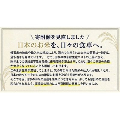【隔月6回定期便】ひごみのり 白米 熊本県産 ブレンド米 5kg《お申込み翌月から出荷》