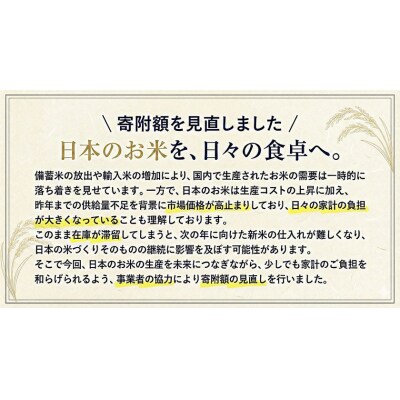 【隔月6回定期便】ひごみのり 無洗米 熊本県産 ブレンド米 5kg《お申込み翌月から出荷》
