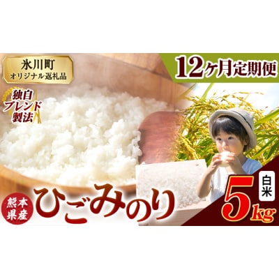【12ヶ月定期便】ひごみのり 白米 熊本県産 ブレンド米 5kg《お申込み翌月から出荷》