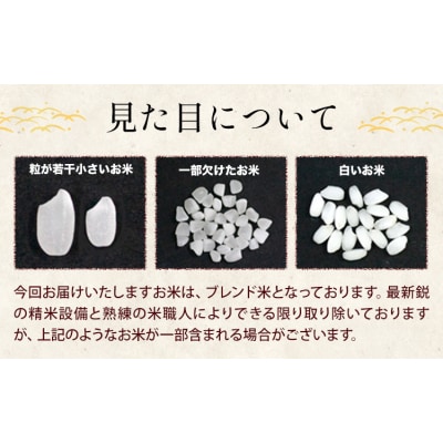 【12ヶ月定期便】ひごみのり 白米 熊本県産 ブレンド米 5kg《お申込み翌月から出荷》