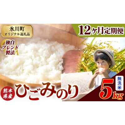 【12ヶ月定期便】ひごみのり 無洗米 熊本県産 ブレンド米 5kg《お申込み翌月から出荷》