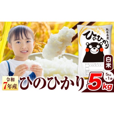 令和7年産 ひのひかり 白米 熊本県産 5kg《7-14日以内に出荷予定(土日祝除く)》