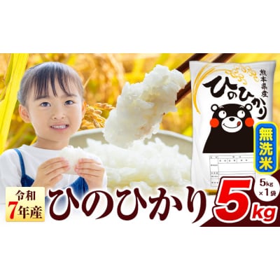 令和7年産 ひのひかり 無洗米 熊本県産 5kg《7-14日以内に出荷予定(土日祝除く)》