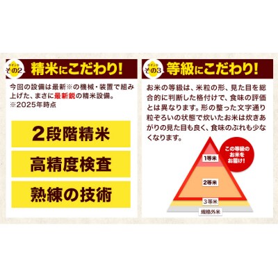 【隔月6回定期便】令和7年産 ひのひかり 無洗米 熊本県産 5kg《お申込み翌月から出荷》