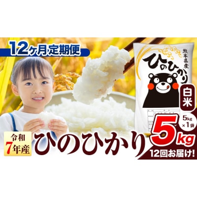 【12ヶ月定期便】令和7年産 ひのひかり 白米 熊本県産 5kg《お申込み翌月から出荷》