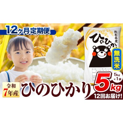 【12ヶ月定期便】令和7年産 ひのひかり 無洗米 熊本県産 5kg《お申込み翌月から出荷》