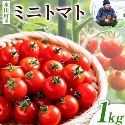 ミニトマト 約1kg 氷川アグリクラブ トマト《12月上旬-4月下旬頃出荷》 氷川町 プチトマト