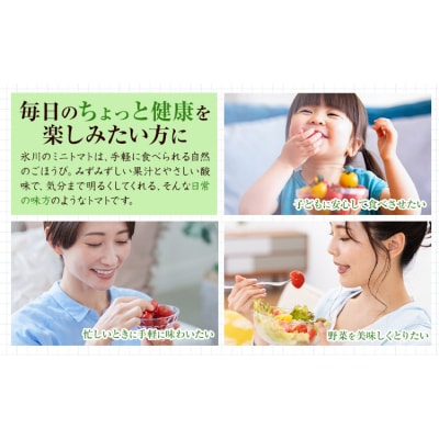ミニトマト 約1kg 氷川アグリクラブ トマト《12月上旬-4月下旬頃出荷》 氷川町 プチトマト