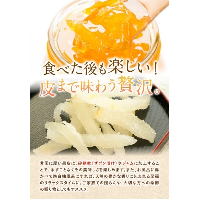 先行予約 晩白柚 約3kg 株式会社エフビーネット《12月上旬-1月下旬頃出荷》熊本県 氷川町 果物
