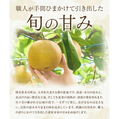 先行予約 旬 梨 フルーツ 豊水梨 約2kg 豊水 株式会社エフビーネット《8月中旬-9月上旬頃出荷