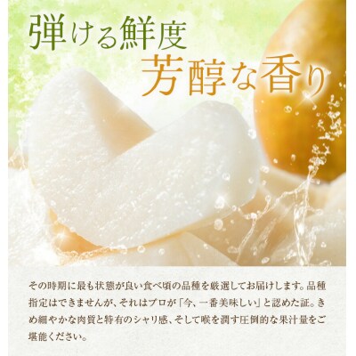 先行予約 旬の梨 梨 約2kg 株式会社エフビーネット《8月上旬-10月下旬頃出荷》熊本県 氷川町 