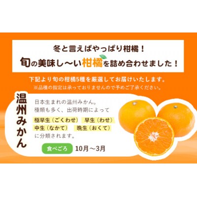 【先行予約】柑橘詰め合わせセット(5種類・10kg以上) 山本果樹園《12月上旬-1月上旬頃出荷》
