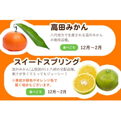 【先行予約】柑橘詰め合わせセット(5種類・10kg以上) 山本果樹園《12月上旬-1月上旬頃出荷》