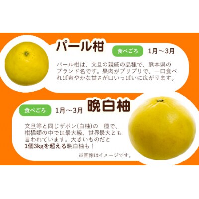 【先行予約】柑橘詰め合わせセット(5種類・10kg以上) 山本果樹園《12月上旬-1月上旬頃出荷》
