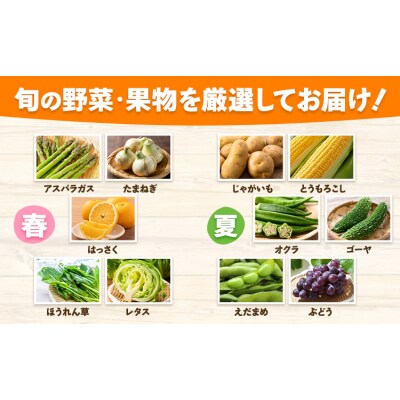 【3ヶ月定期】旬の野菜・果物詰め合わせ 5-7品 氷川町産 道の駅竜北