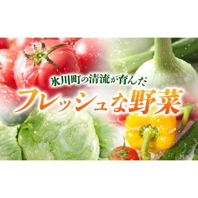 【6ヶ月定期】旬の野菜・果物詰め合わせ 5-7品 氷川町産 道の駅竜北