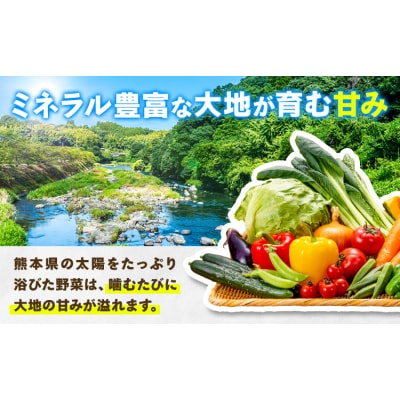 【6ヶ月定期】旬の野菜・果物詰め合わせ 5-7品 氷川町産 道の駅竜北