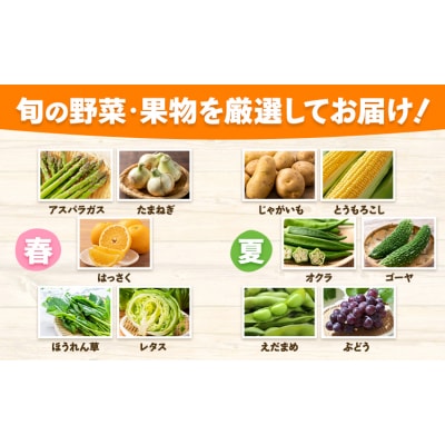 【6ヶ月定期】旬の野菜・果物詰め合わせ 5-7品 氷川町産 道の駅竜北
