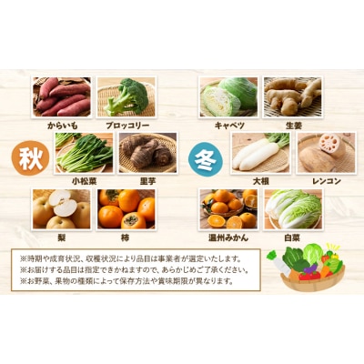 【6ヶ月定期】旬の野菜・果物詰め合わせ 5-7品 氷川町産 道の駅竜北