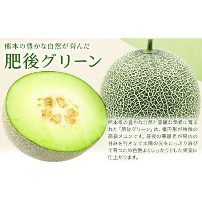 ＼5月25日まで!/肥後グリーンメロン 1玉 株式会社エフビーネット《4月上旬-6月中旬頃出荷》