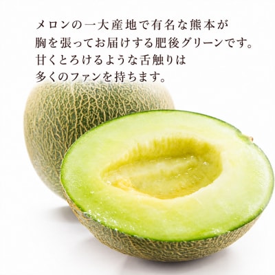 肥後グリーンメロン 1玉 株式会社エフビーネット《4月上旬-7月上旬頃出荷》