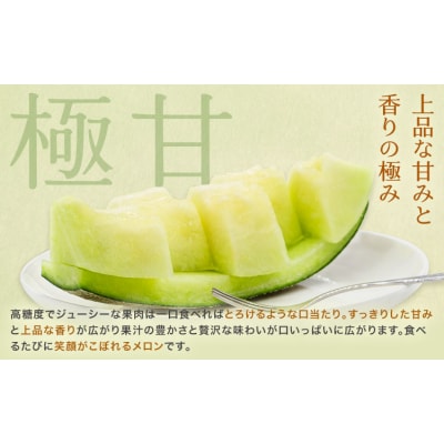 ＼5月25日まで!/肥後グリーンメロン 1玉 株式会社エフビーネット《4月上旬-6月中旬頃出荷》