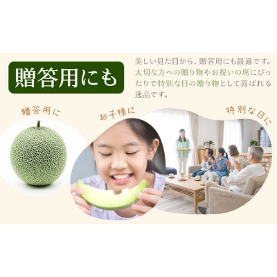 ＼5月25日まで!/肥後グリーンメロン 1玉 株式会社エフビーネット《4月上旬-6月中旬頃出荷》