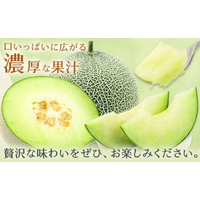 ＼5月25日まで!/肥後グリーンメロン 1玉 株式会社エフビーネット《4月上旬-6月中旬頃出荷》