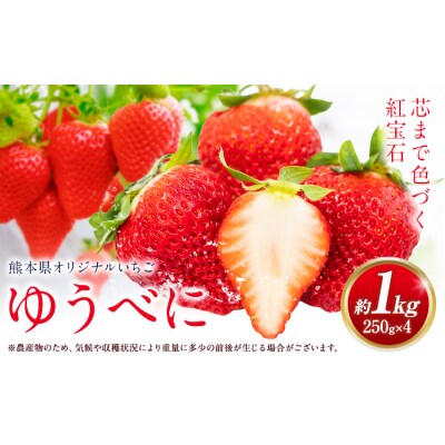 ゆうべに 約1kg エフビーネット 道の駅竜北《2027年1月上旬-4月中旬頃出荷》