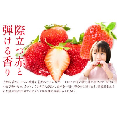 ゆうべに 約1kg エフビーネット 道の駅竜北《2027年1月上旬-4月中旬頃出荷》