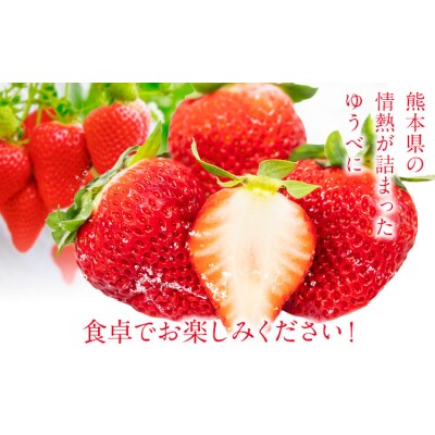 ゆうべに 約1kg エフビーネット 道の駅竜北《2027年1月上旬-4月中旬頃出荷》