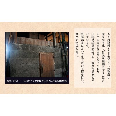 田河東洋男商店 ふるさと 簡単味噌汁ギフト 14g×20食分《30日以内に出荷予定(土日祝除く)》