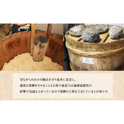田河東洋男商店 ふるさと しょうゆと簡単味噌汁ギフトセット《30日以内に出荷予定(土日祝除く)》