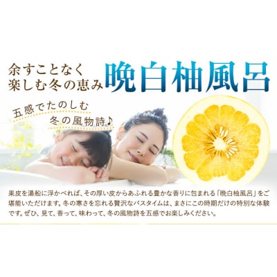柑橘 晩白柚 3L 2玉 5kg 日本フルーツ株式会社《12月上旬-2月末頃出荷》