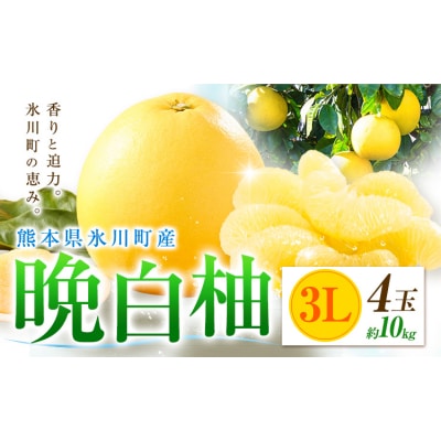 柑橘 晩白柚 3L 4玉 10kg 日本フルーツ株式会社《12月上旬-2月末頃出荷》