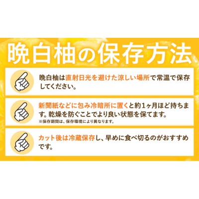 柑橘 晩白柚 3L 4玉 10kg 日本フルーツ株式会社《12月上旬-2月末頃出荷》