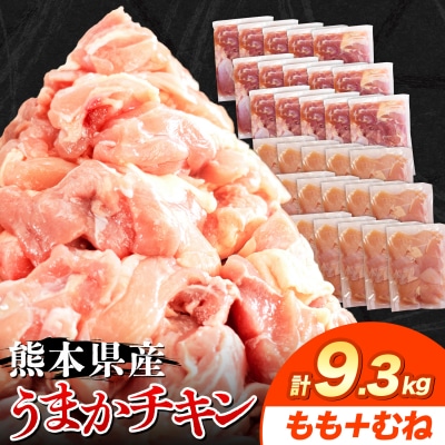 うまかチキン もも+むねハーフセット 合計9.3kg《30日以内に出荷予定(土日祝除く)》