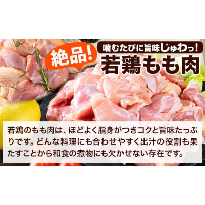 うまかチキン もも肉 合計9.3kg《30日以内に出荷予定(土日祝除く)》