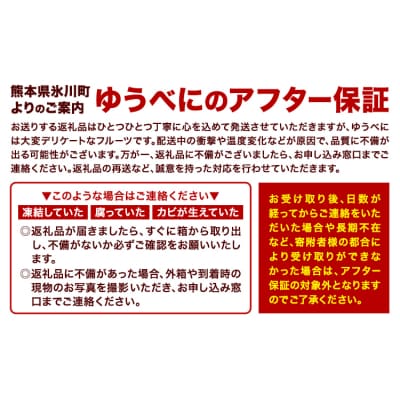 先行予約 熊本県産 いちご ゆうべに 約1500g《2月上旬-3月末頃出荷》