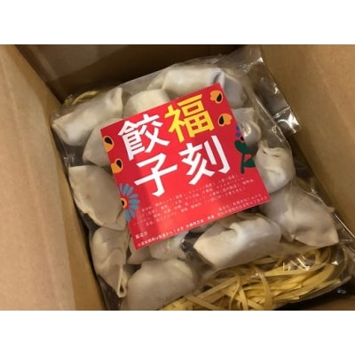 お試し 居酒屋のおかあちゃん手作り もちもち福刻餃子 20個 碧南産にんじん入り　H136-036