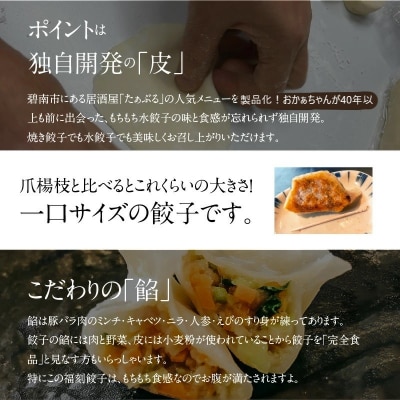 居酒屋のおかあちゃん手作り もちもち福刻餃子 40個(20個×2袋)　H136-037