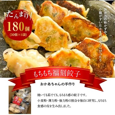 居酒屋のおかあちゃん手作り もちもち福刻餃子 180個(30個×6袋)　H136-031