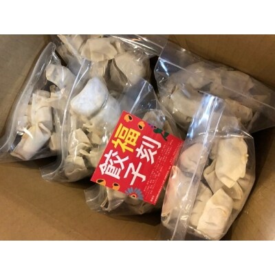居酒屋のおかあちゃん手作り もちもち福刻餃子 180個(30個×6袋)　H136-031