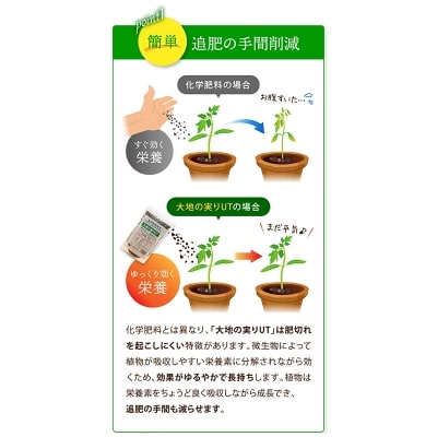 ニッコン 肥料 大地の実りUT 大容量20kg 石灰入り　H158-025